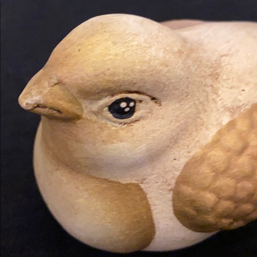 Gold and Tan Bird - Picture 8 of 8